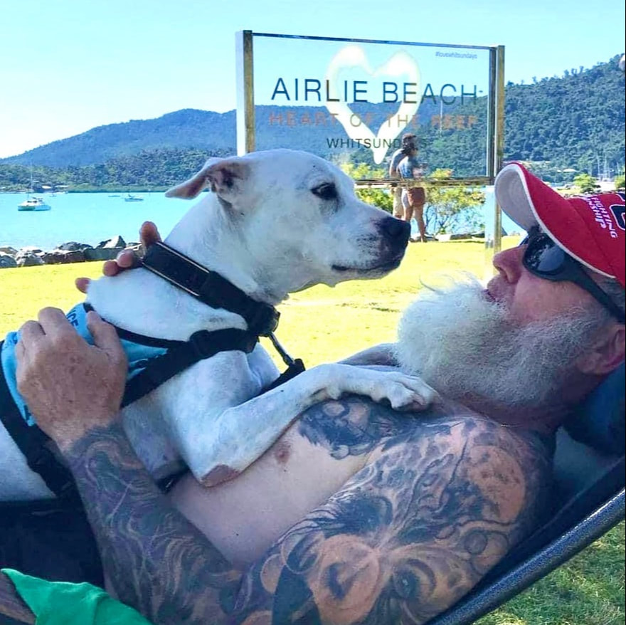 Assistance Dog Keyma